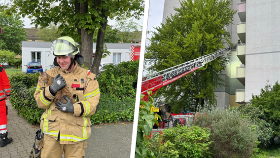 Hochhausbrand in Fürth: Feuerwehr rettet Katze und Schlange aus Flammen