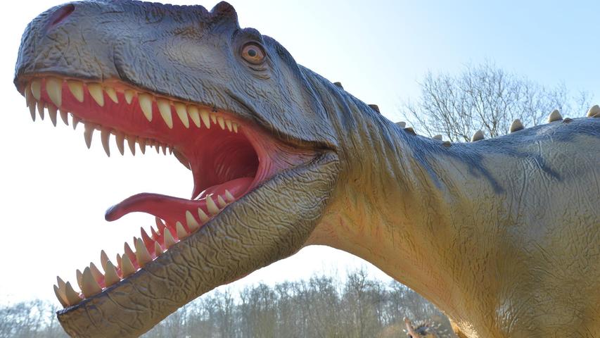 Riesige Dinos werde in der Exposition in Forchheim gezeigt.