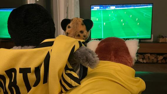 Wie mich meine Söhne und Borussia Dortmund lehrten, den Fußball zu lieben