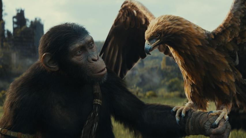 Noa (gesprochen von Owen Teague) in einer Szene des Films "Planet der Affen: New Kingdom"