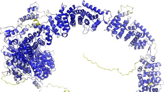 „AlphaFold 3“ sagt Struktur aller Moleküle des Lebens voraus