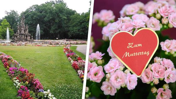 2024-05-08_12-01_collage