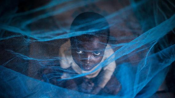 Weniger Malaria in Afrika?