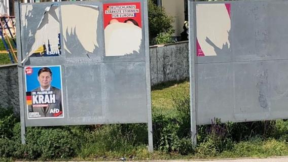Schon wieder Plakate der Parteien in Rednitzhembach zerstört - nur das von der AfD blieb hängen