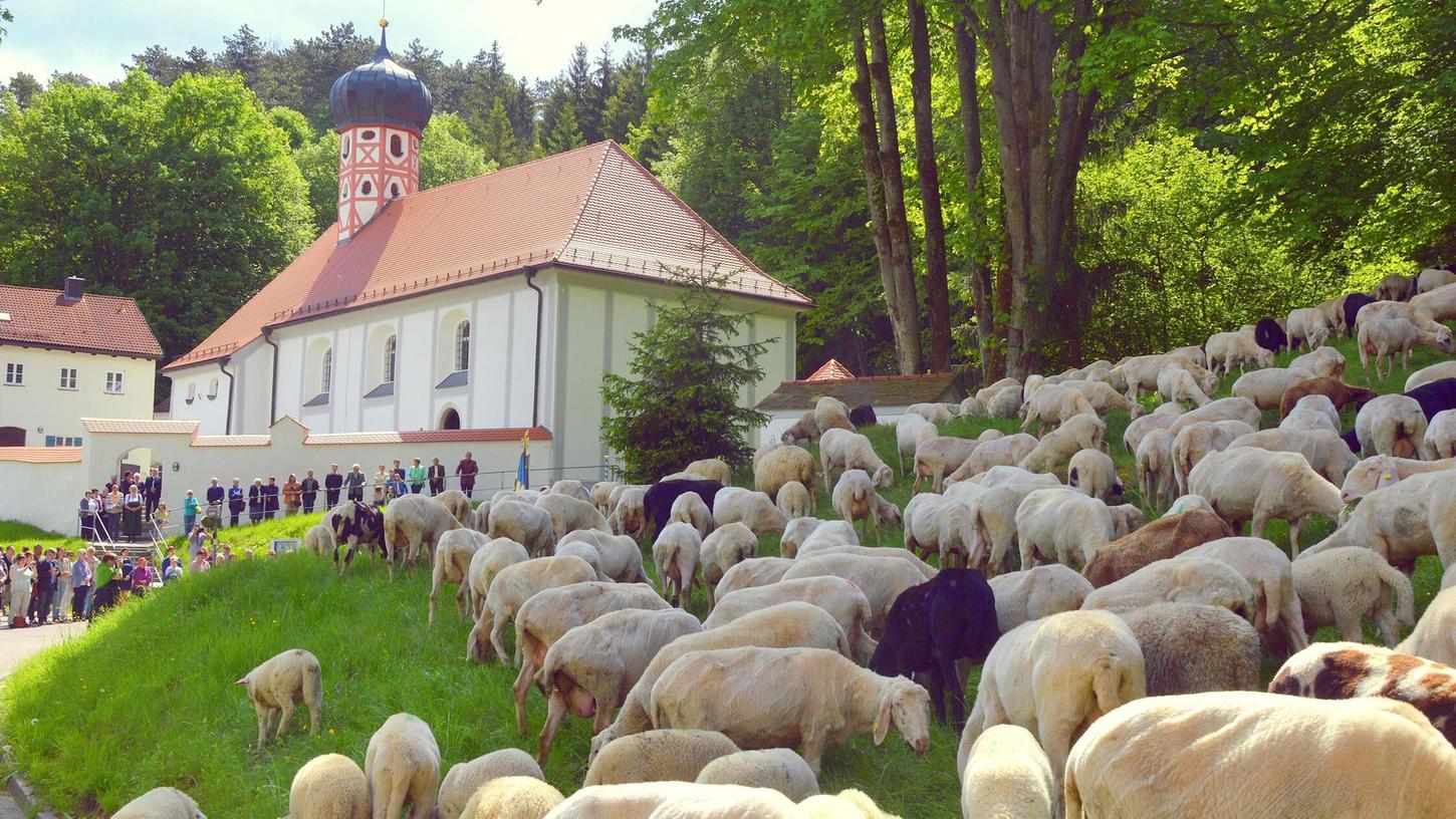 Hier geht es auf die Sommerweide. Hier geht es auf die Sommerweide.