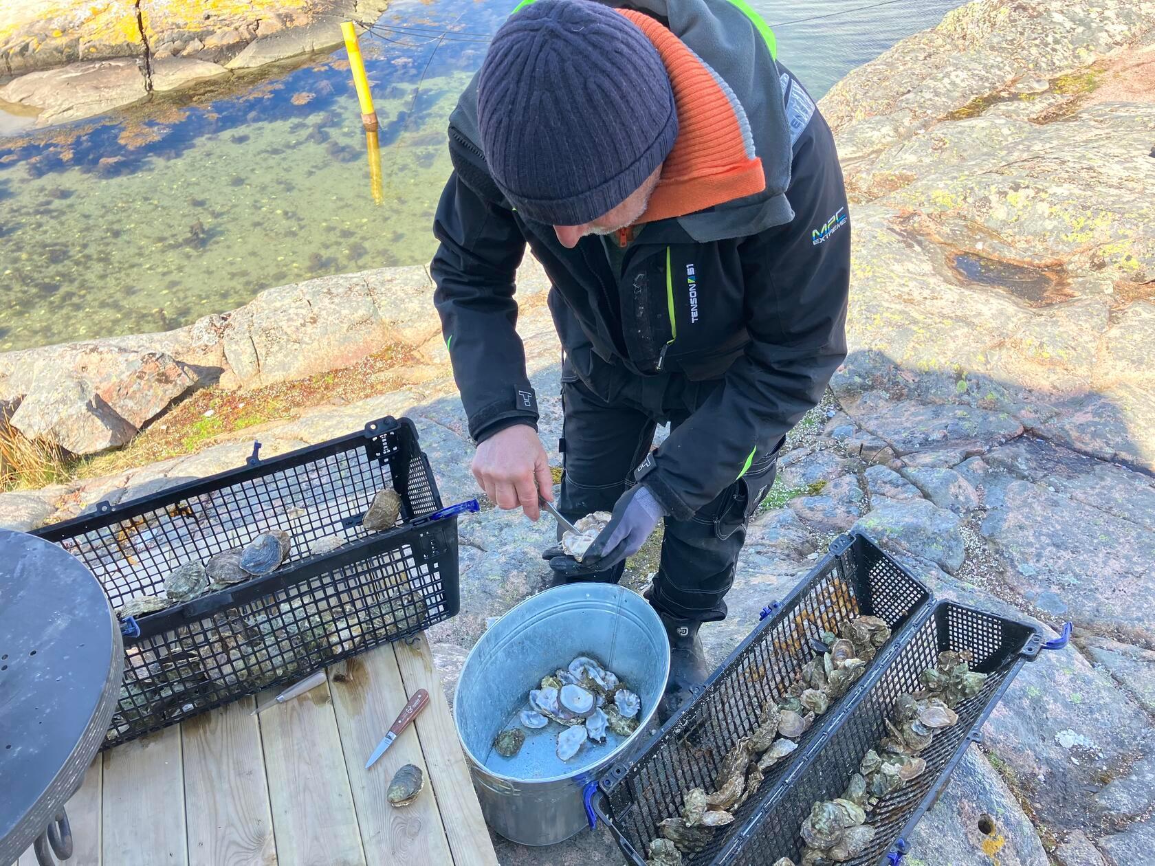 Für die meisten Gäste ist das wahrscheinlich das Highlight der Tour: Mit einem speziellen Messer öffnet Marstone so viele Austern für seine Gäste, wie sie essen können.
