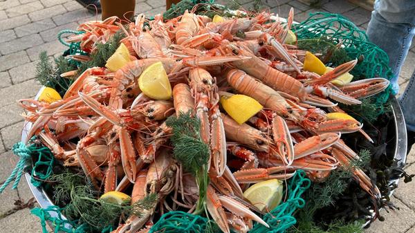 Gleich mehrere ihrer Biersorten passen zudem vorzüglich zu Meeresfrüchten wie Langusten. Ein Bier wurde sogar eigens zum Verzehr mit Austern entworfen. In Deutschland sind einige Sorten im Bier-Fachgeschäft Bierothek erhältlich.