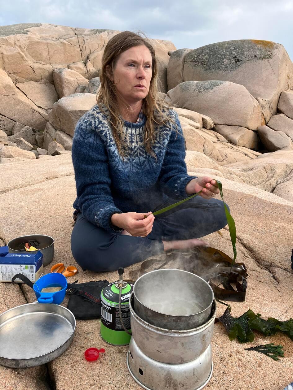 Was viele dabei nicht wissen: Seetang aus dem Wasser ist zunächst braun, färbt sich aber bei der Berührung mit heißem Wasser intensiv grün. Bei der Tour können sich Interessierte davon selbst überzeugen und die Algen auch direkt probieren.