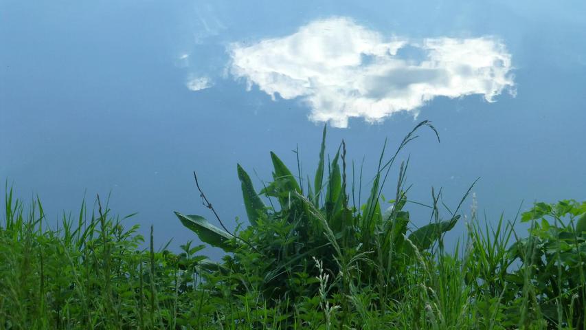 Aus Ameisensicht hat unser Leser Norbert Haselbauer die kleine Wolke am blauen Himmel fotografisch festgehalten.