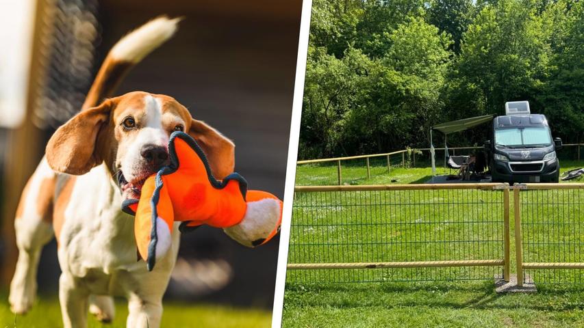 Kein Urlaub an der Leine: Hundebesitzer sind begeistert von neuem Campingplatz-Konzept im Altmühltal