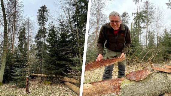 „Wald muss mehr sein als nur Holzlieferant“: Darum sind mehr als 500 Forst-Experten in Bad Windsheim
