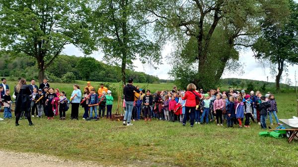 EdInputPic82b85789-22ab-4508-92f0-324df3f2792b