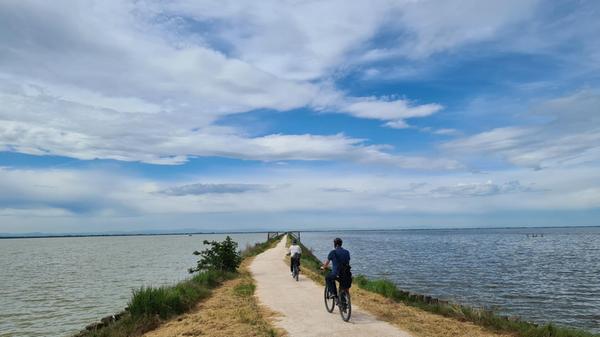 Durch den Brackwassersee "Valli di Comacchio" im Po-Delta kann man auf einem Damm sehr entspannt radeln und dabei Flamingos beobachten.