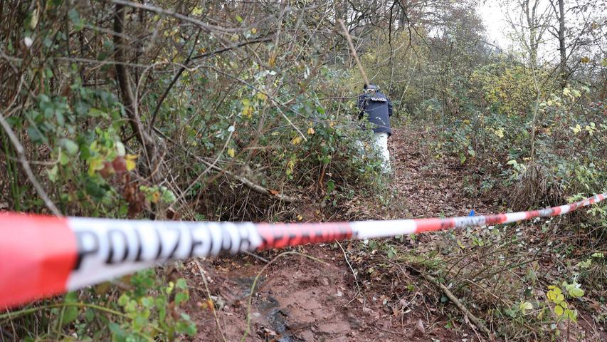 Mysteriöser Menschenschädel im Wald: Polizei ermittelt nach Fund in Nürnberg