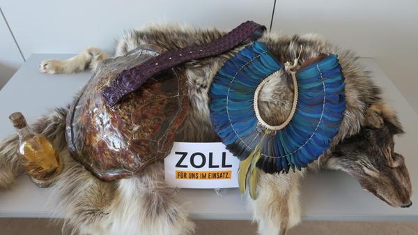 Zoll_pm_20_24