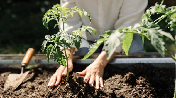 imago images 0471066034