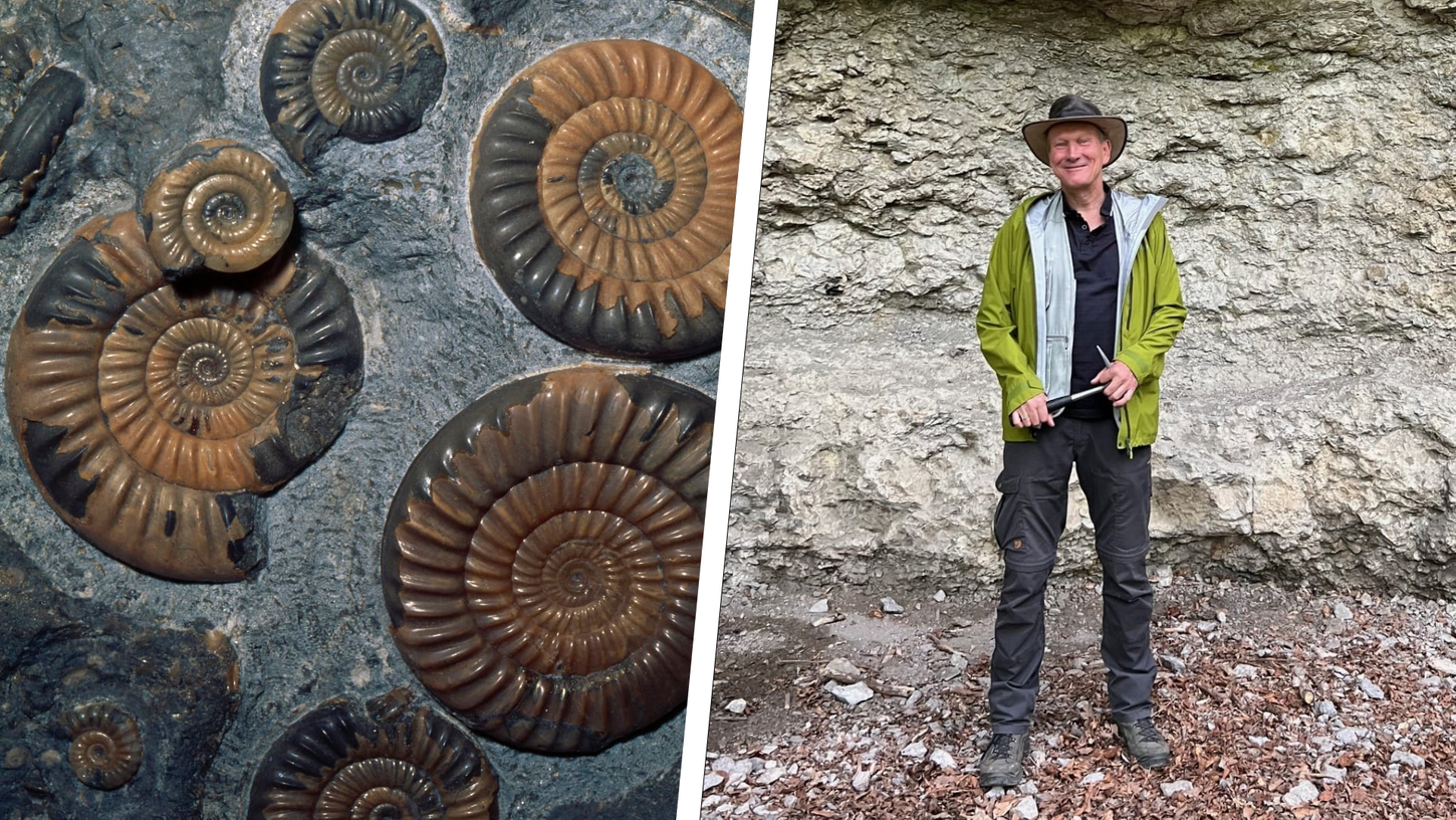 Er hat sich Ammoniten & Co. verschrieben: Paläontologe und Klimafolgen-Forscher Prof. Wolfgang Kießling ist Gast in der neuen Podcast-Folge.
