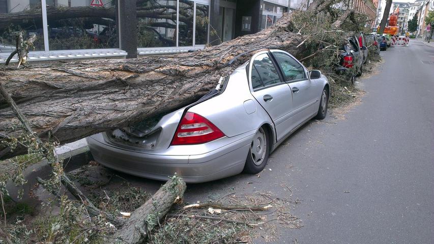 Vom Baum getroffen: Gut, wenn in einem solchen Fall nur das Auto das Opfer ist. Vom Baum getroffen: Gut, wenn in einem solchen Fall nur das Auto das Opfer ist.