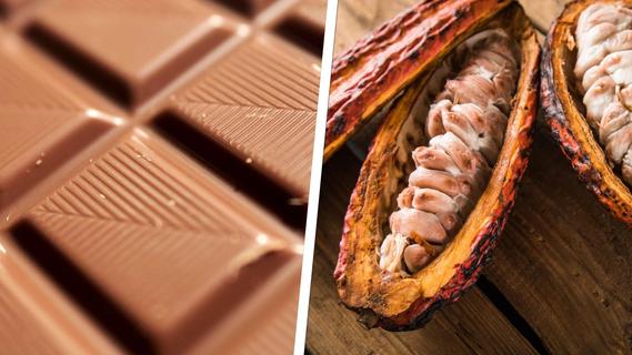 Schokolade mit besonderem Süßmittel: Diese neue Sorte soll gesünder und nachhaltiger sein