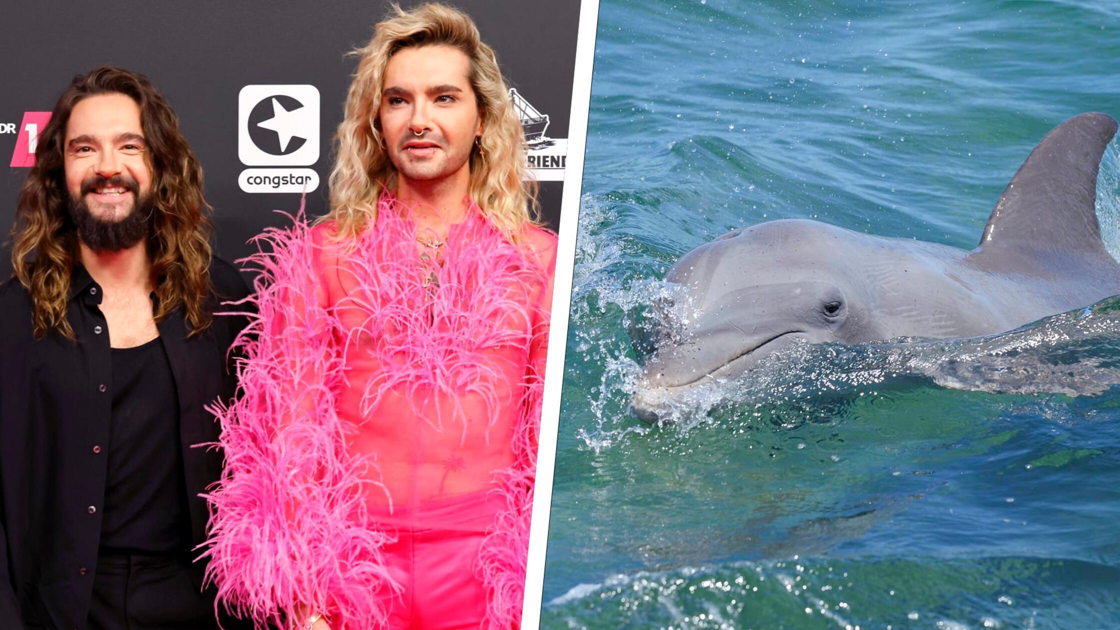 Bill Kaulitz hat Tr&auml;nen in den Augen - Ist der N&uuml;rnberger Tiergarten schuld?