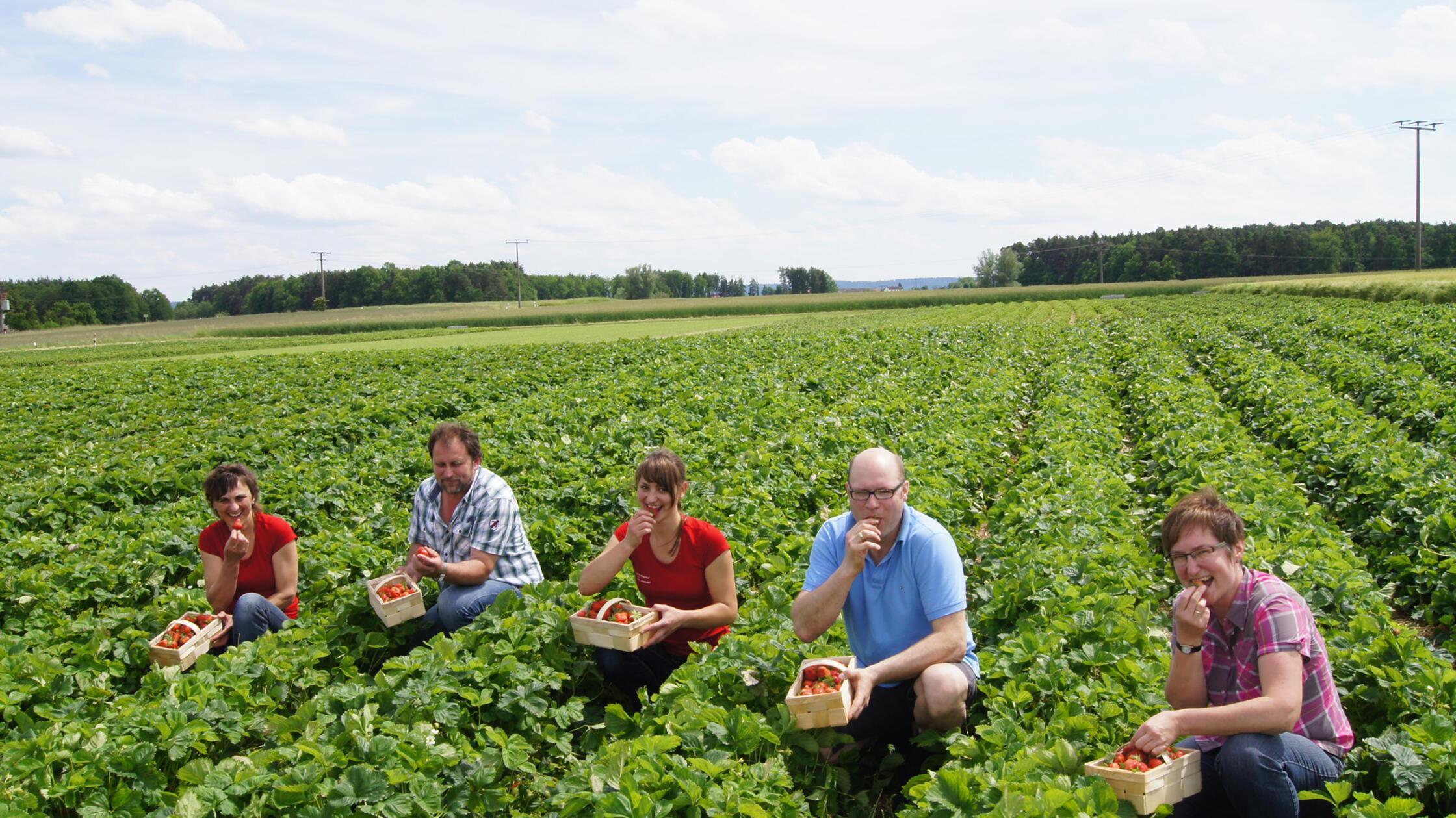 Erdbeersaisoneröffnung mit Spargelprinzessin