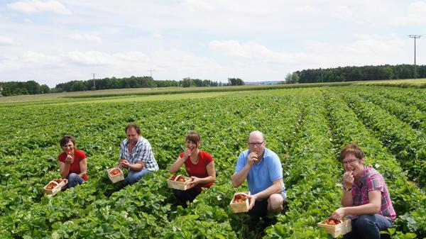 Erdbeersaisoneröffnung mit Spargelprinzessin
