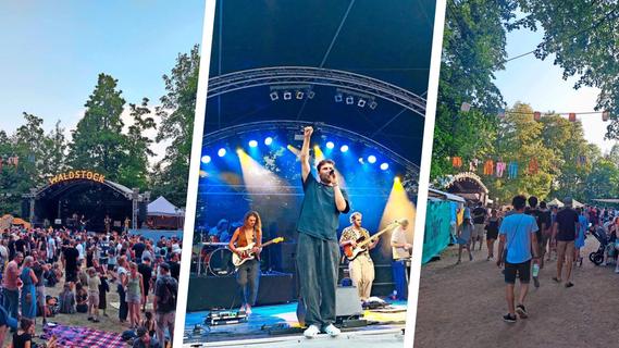 Waldstock-Festival 2024: Die ersten Bands stehen fest