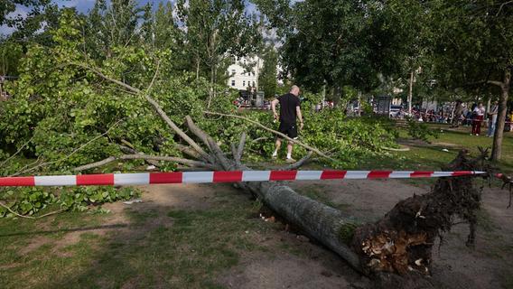 Baum stürzt im Berliner Mauerpark um: Drei Verletzte