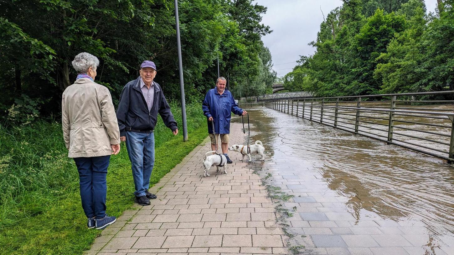 Die Uferpromenade in Fürth war am Montag überschwemmt, Spaziergänger und Hundehalter mussten umdrehen. Inzwischen ist der Abschnitt wieder frei.