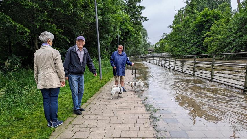 Auch die Uferpromenade der Rednitz wurde zum Teil überflutet, Spaziergänger mussten ihre gewohnte Route ändern.