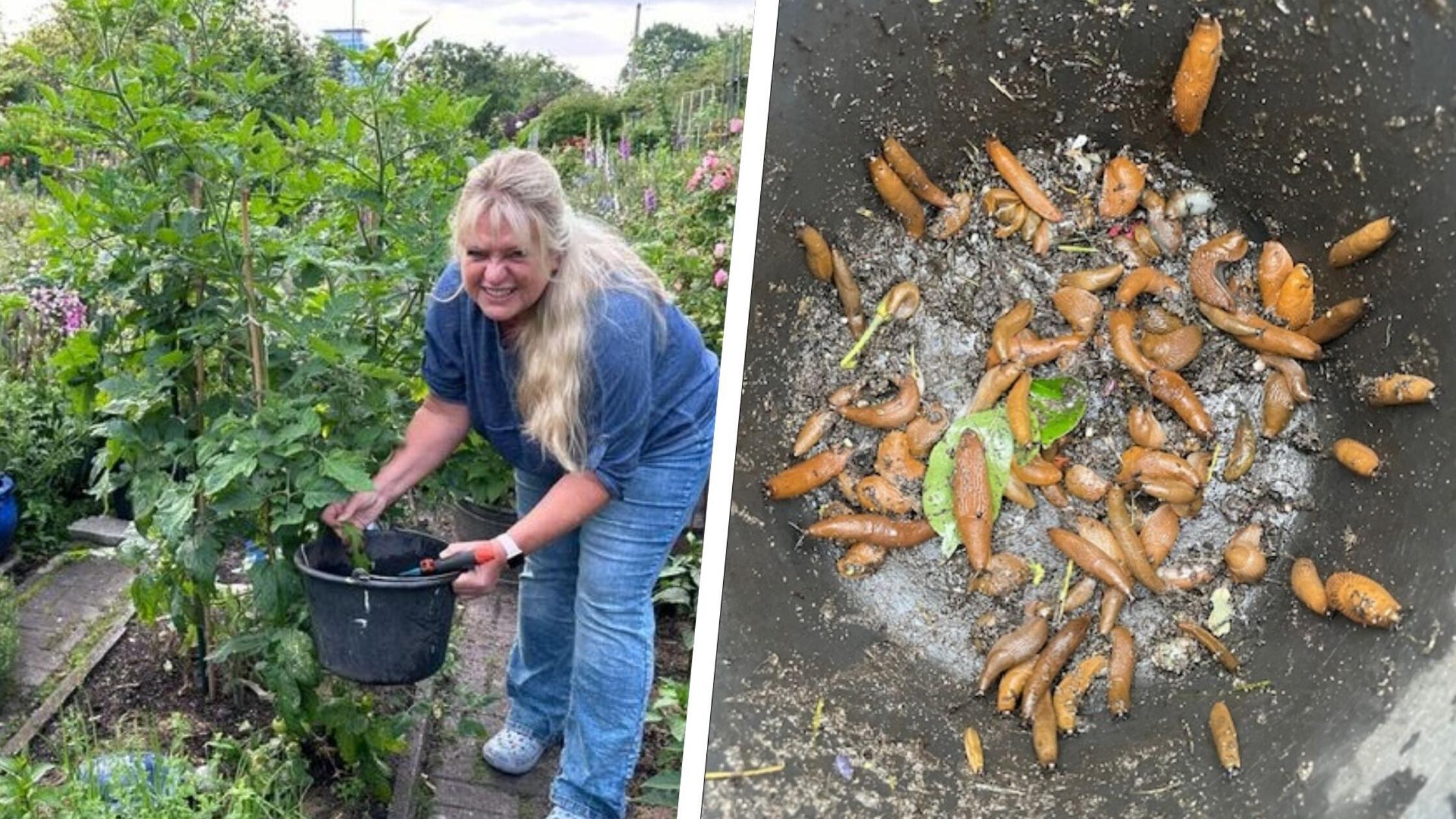 2024-06-05_11-49_collage