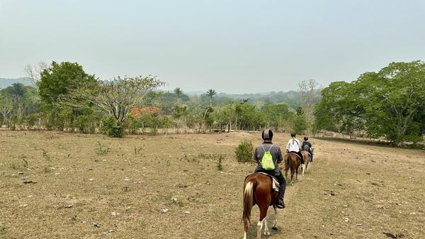 Die Maya-Ruinen lassen sich über eine Wanderung oder zu Pferd erreichen.