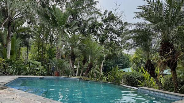 Kontrast-Programm zu den sonnigen Stränden an der Küste: das Ka`ana Resort inmitten des Dschungels nahe der Stadt San Ignacio.