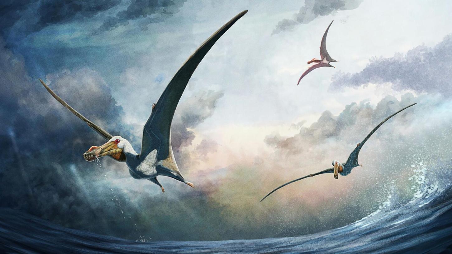 Die künstlerische Darstellung zeigt den Flugsaurier Haliskia peterseni. Der gewaltige Flugsaurier habe laut Forschenden eine Flügelspannweite von geschätzt etwa 4,6 Metern gehabt.