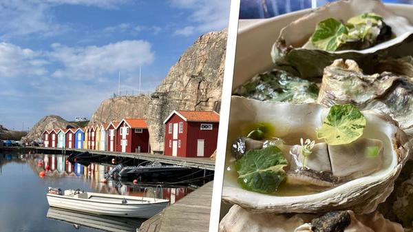 2024-05-13_16-18_collage