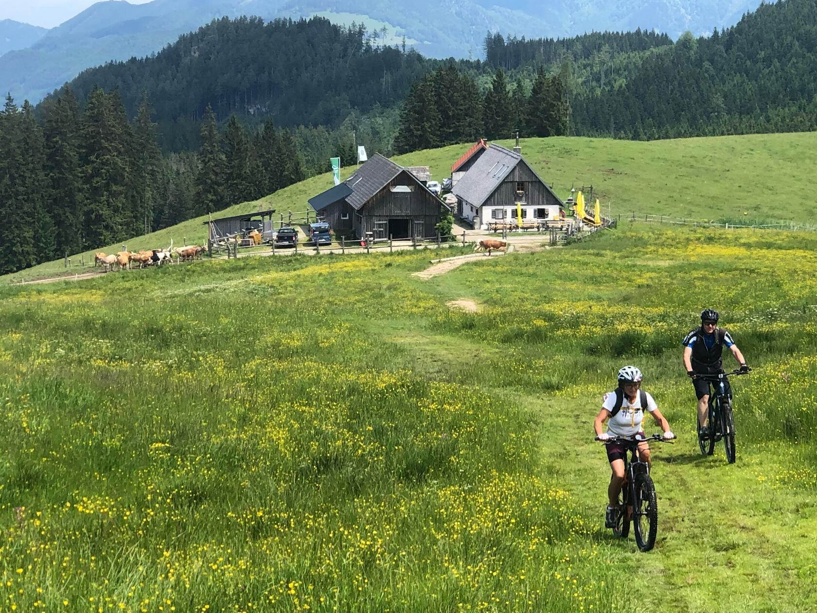 Es geht aufwärts: Mountainbike-Tour durch die Kalkalpen.