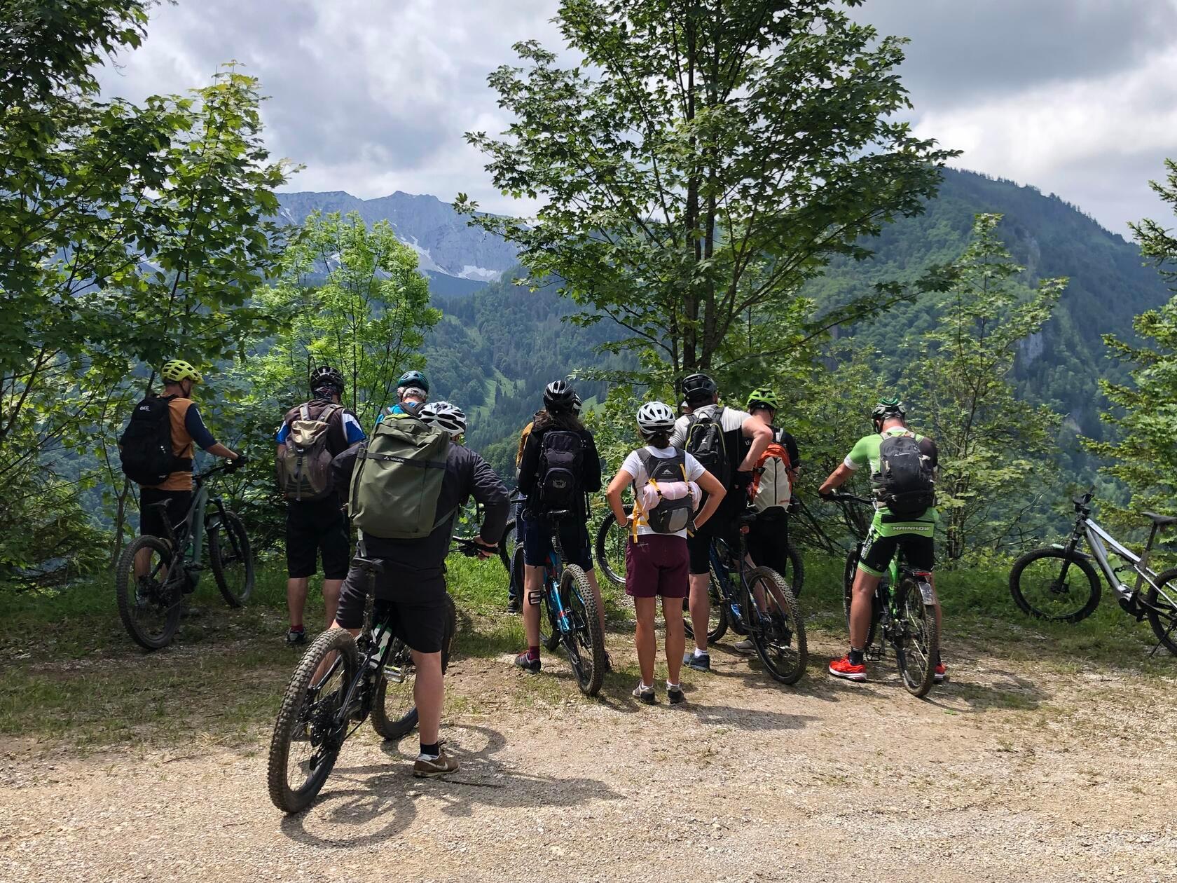 Schau mal: Blick auf unberührte Urwälder in den Kalkalpen.