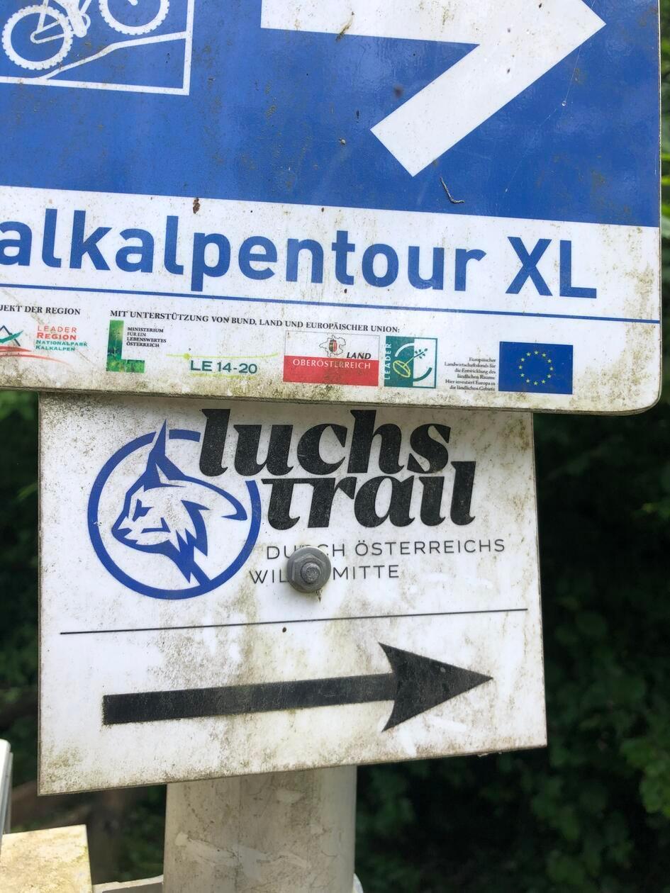Nicht nur Radfahrer und Wanderer, auch Luchse sind im Nationalpark Kalkalpen unterwegs.