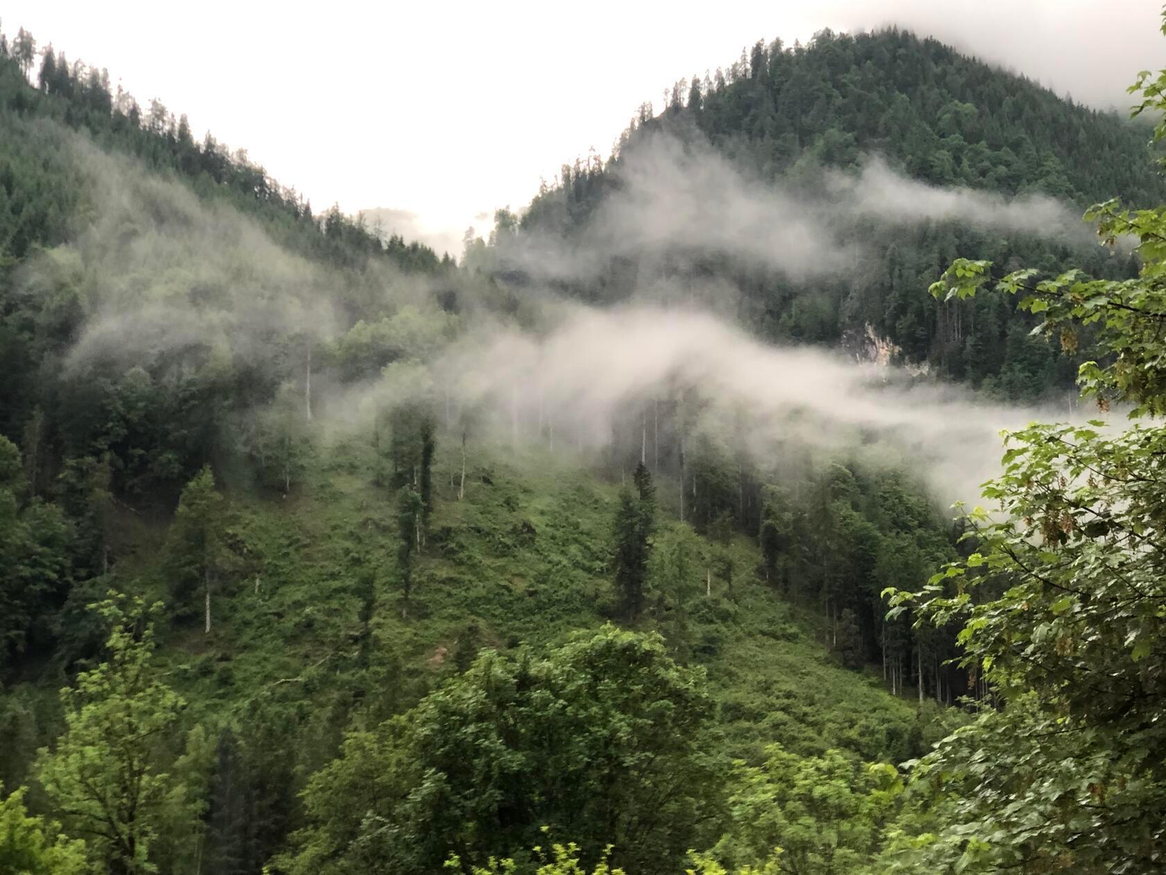 Keine Menschenmassen, nur wabernde Wolken in Johnsbach in der Steiermark.