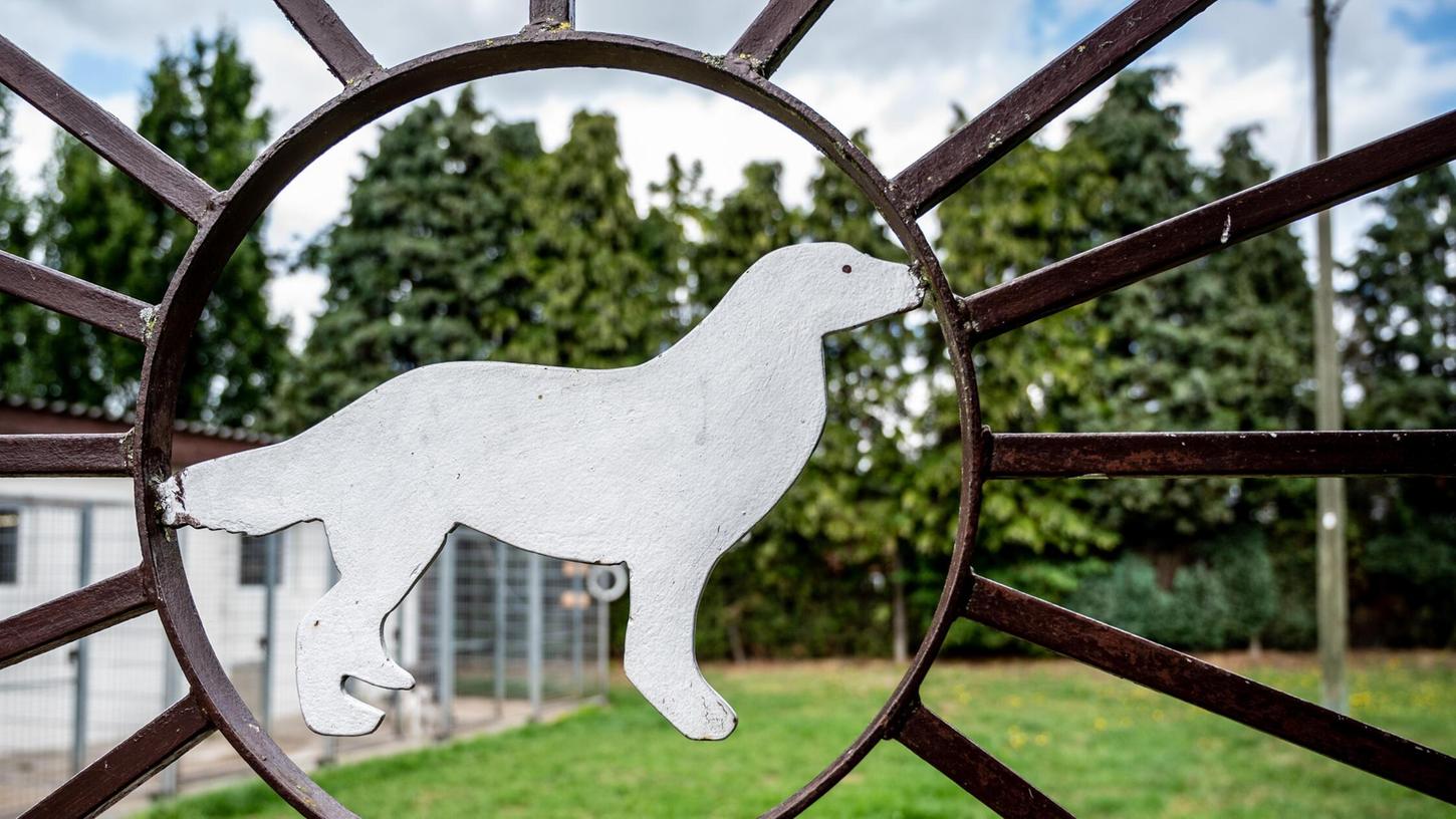 Neben Familienmitgliedern und professionellen Sittern können auch Tierpensionen die Urlaubsbetreuung von Hunden und anderen Haustieren übernehmen. Doch dabei sollten alle juristischen Formalitäten geklärt sein. Neben Familienmitgliedern und professionellen Sittern können auch Tierpensionen die Urlaubsbetreuung von Hunden und anderen Haustieren übernehmen. Doch dabei sollten alle juristischen Formalitäten geklärt sein.