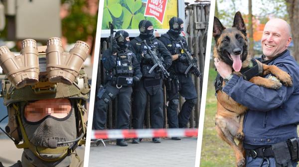 2024-06-22_10-40_collage