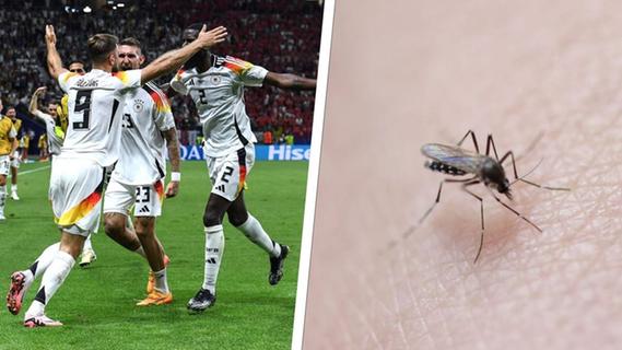 "Abartige Mückenplage": DFB-Team mit Problemen in Herzogenaurach - das steckt dahinter