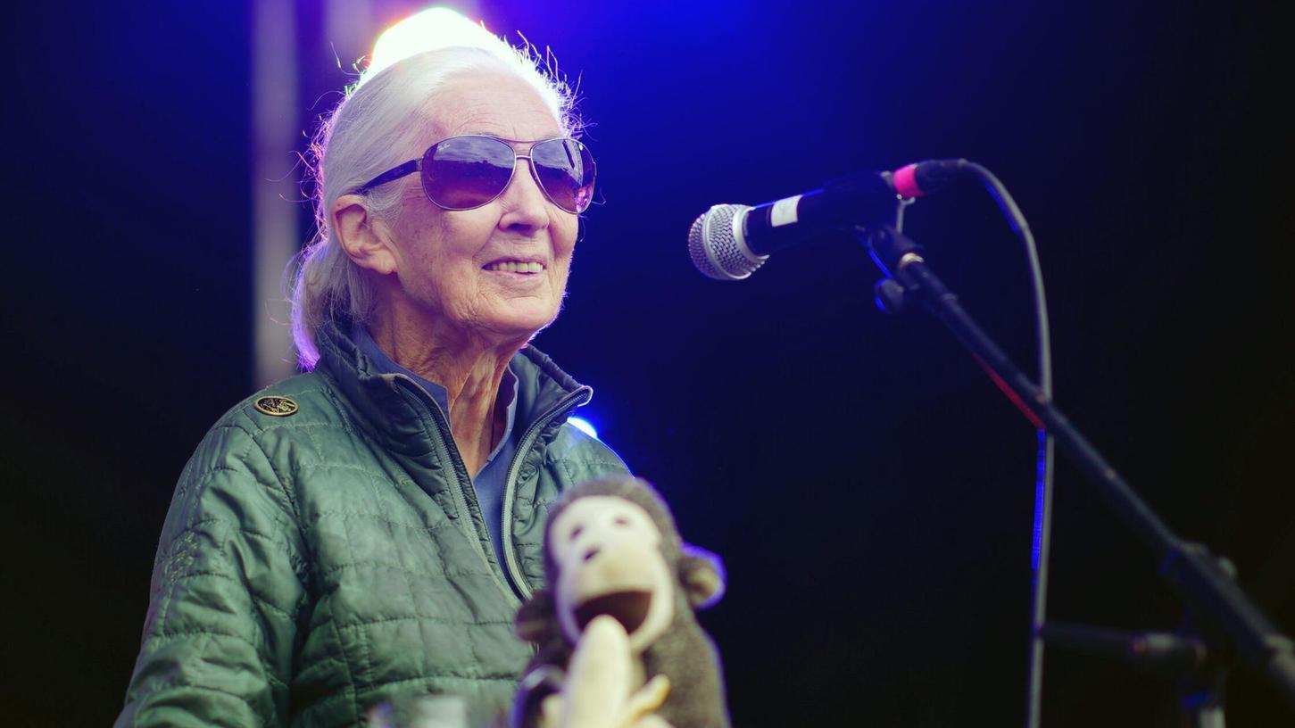Jane Goodall auf der Greenpeace-Bühne beim Glastonbury Festival in Worthy Farm.