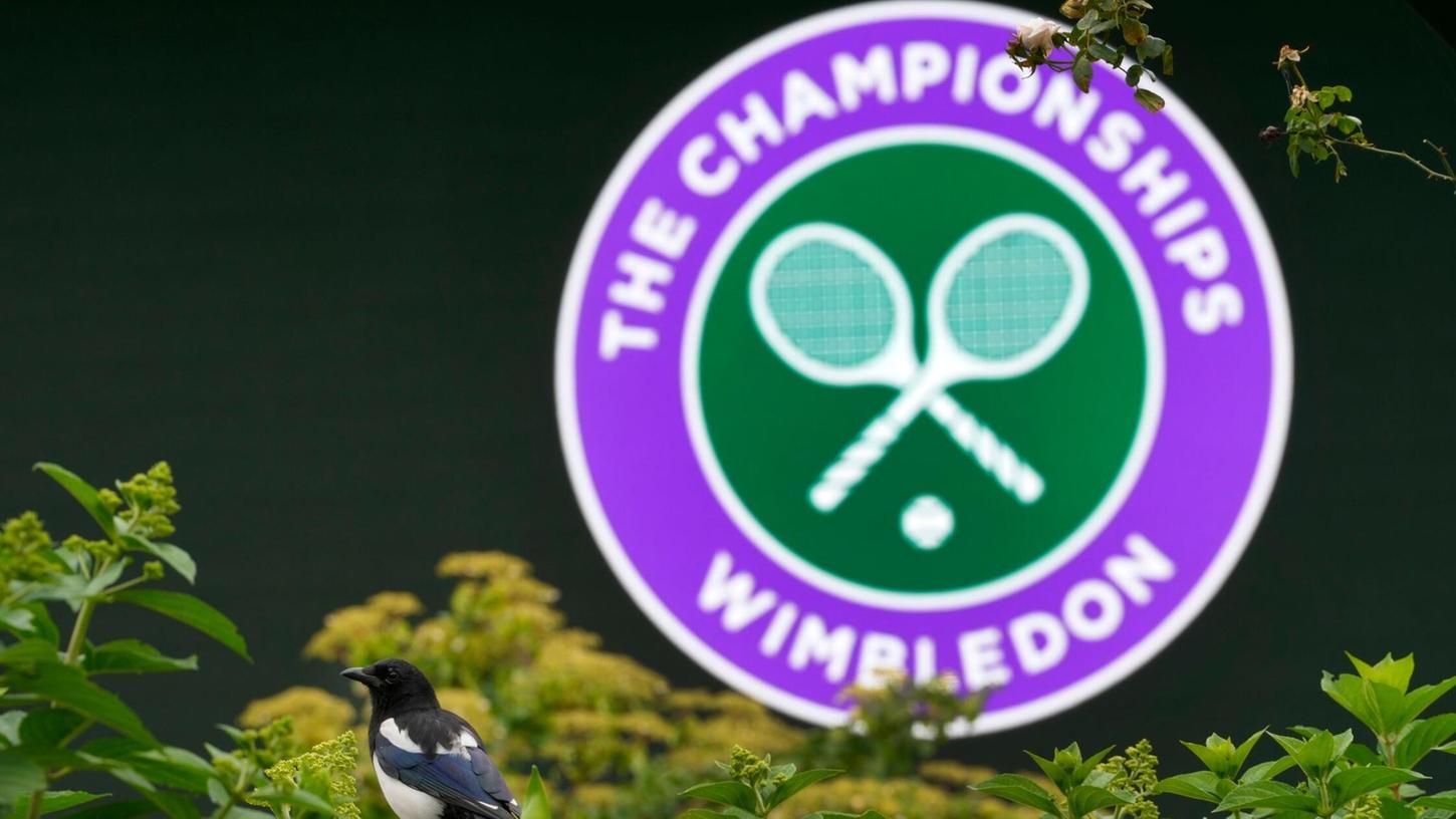 Am Tennis-Turnier in Wimbledon nehmen zwölf deutsche Athleten und Athletinnen teil.