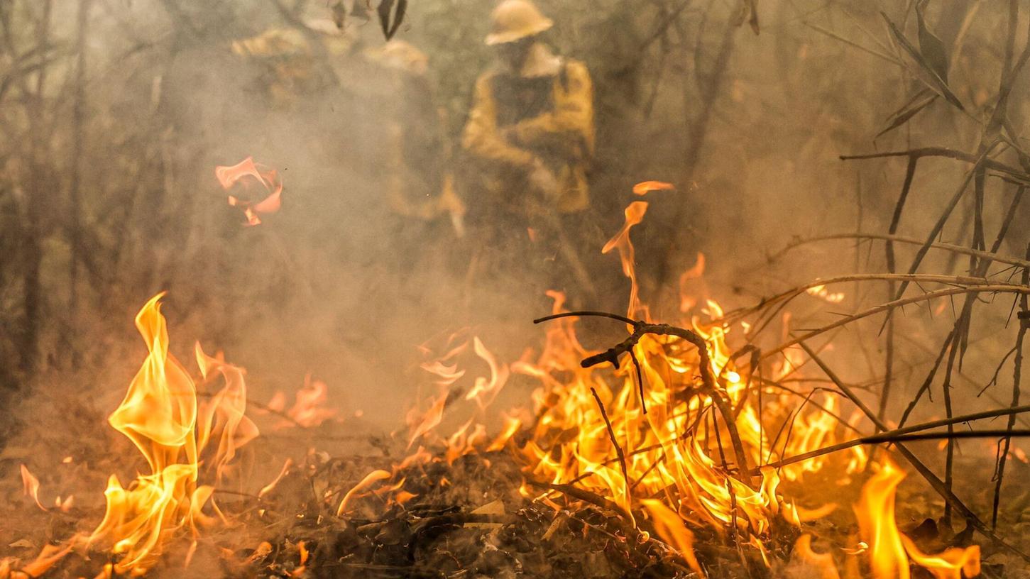 Feuerwehreinheiten bekämpfen die schlimmen Waldbrände im Pantanal.