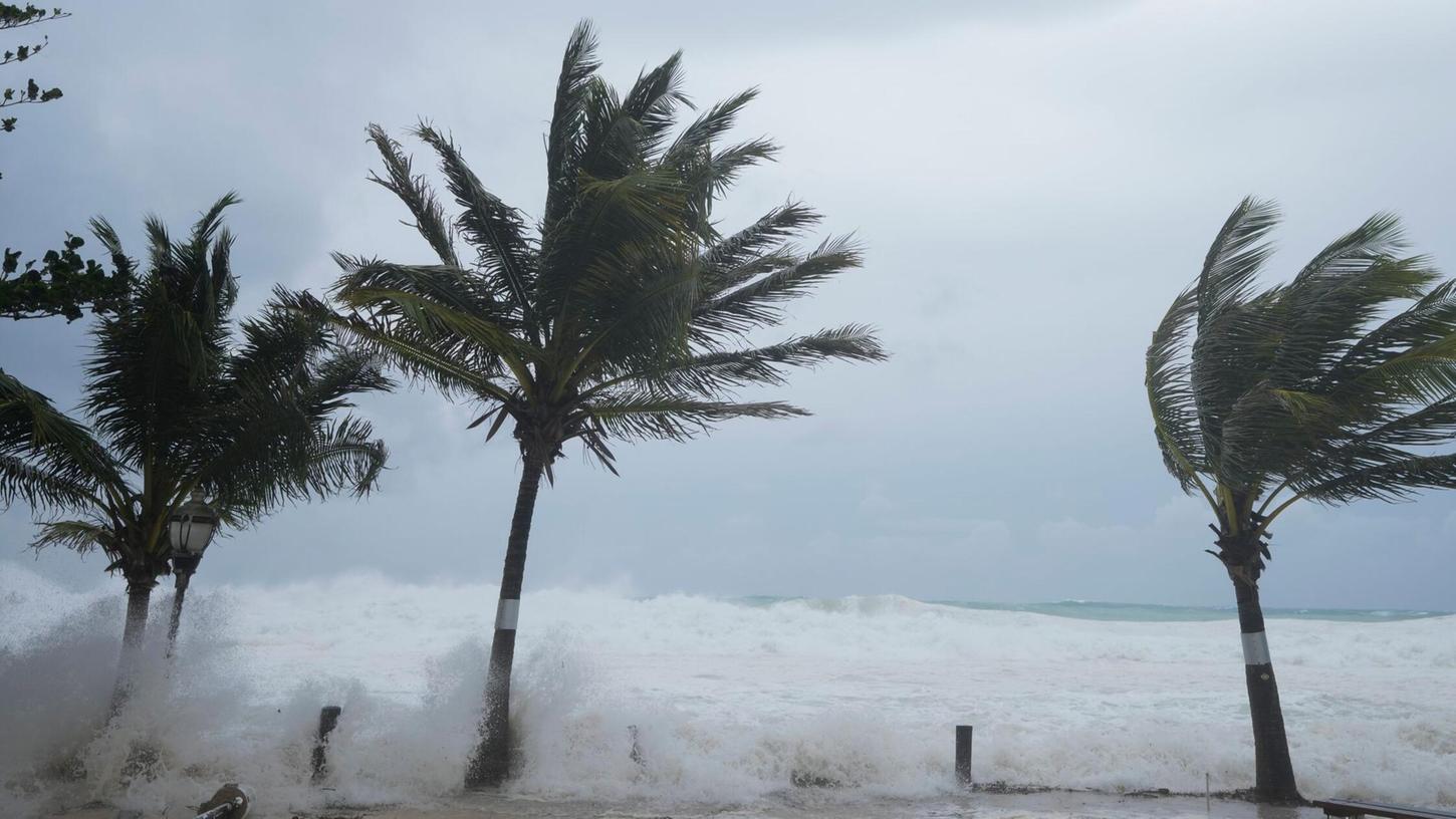 Hurrikan "Beryl" biegt die Palmen.