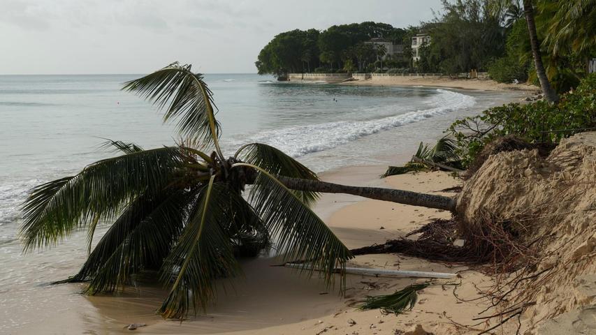 Hurrikan "Beryl" richtete auf einigen Karibikinseln Verwüstung an.