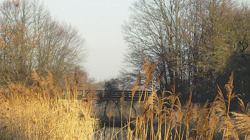 Höhen und Täler im Altdorfer Land