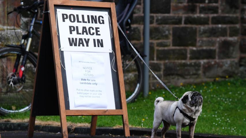 Die Menschen in Großbritannien gelten als besonders tierlieb und bringen ihre Hunde oft zum Wählen mit.