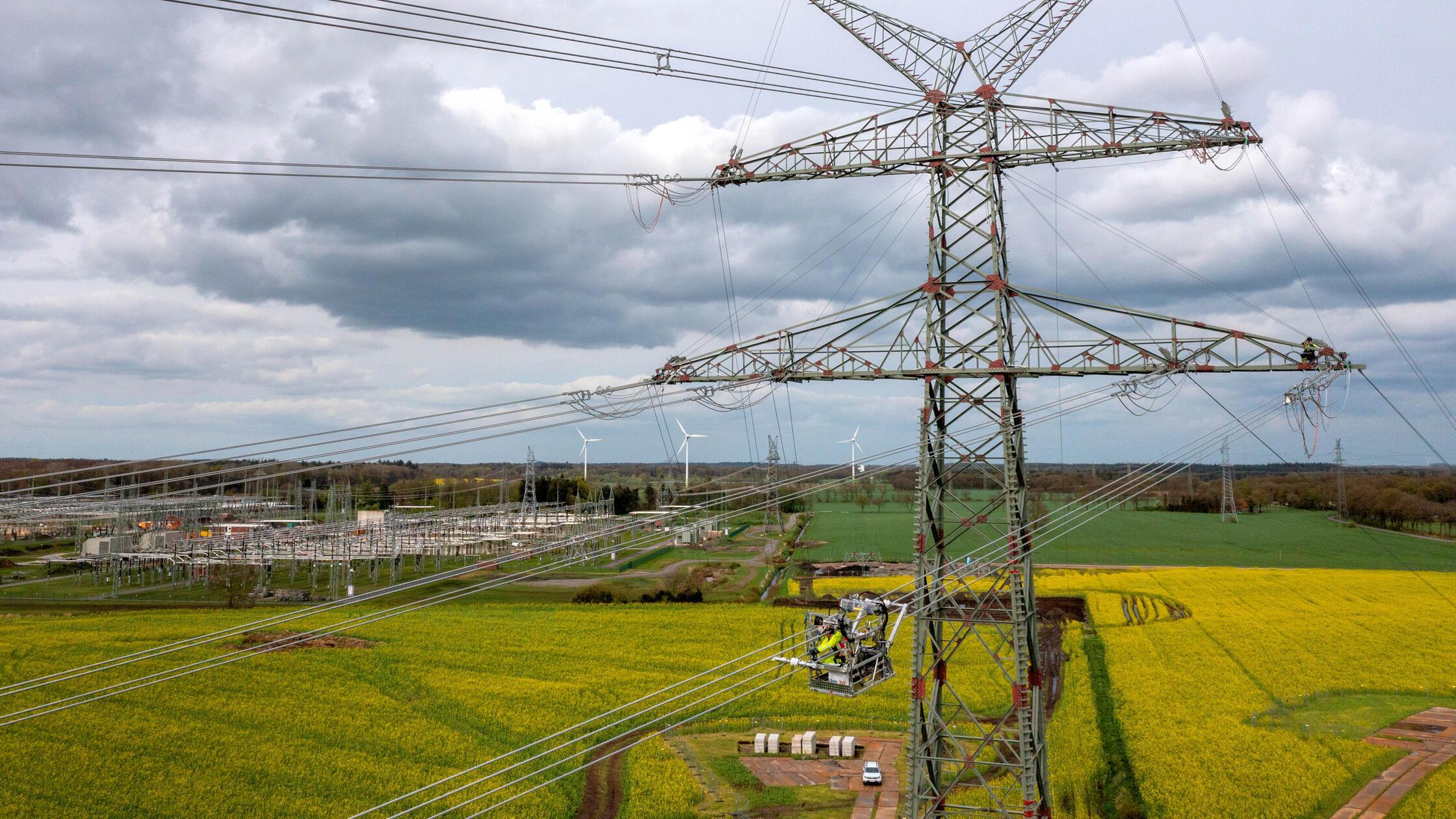 urn:newsml:dpa.com:20090101:240620-935-136562